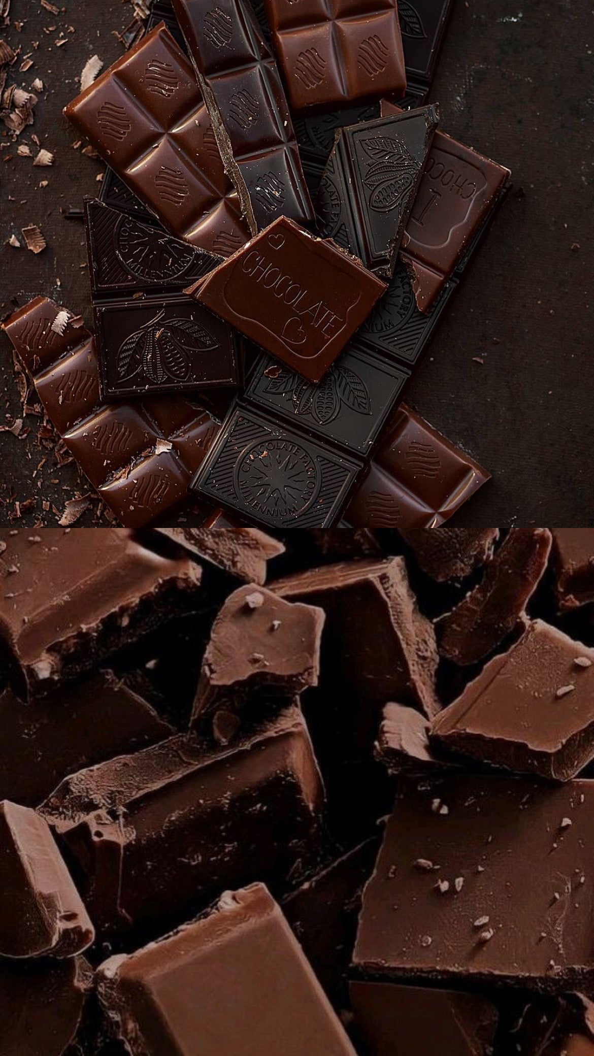 Chocolate Noir