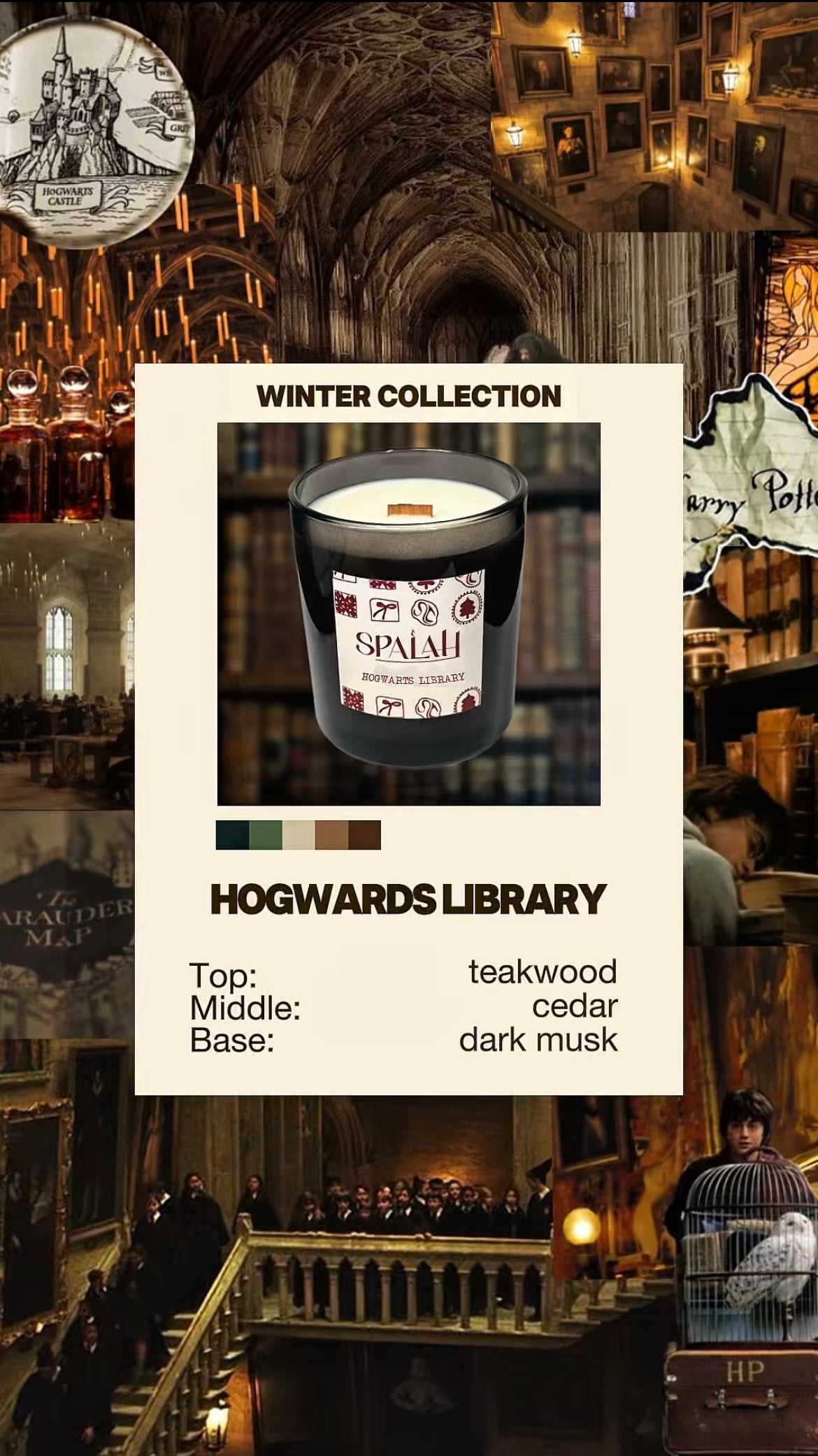 Hogwarts Library