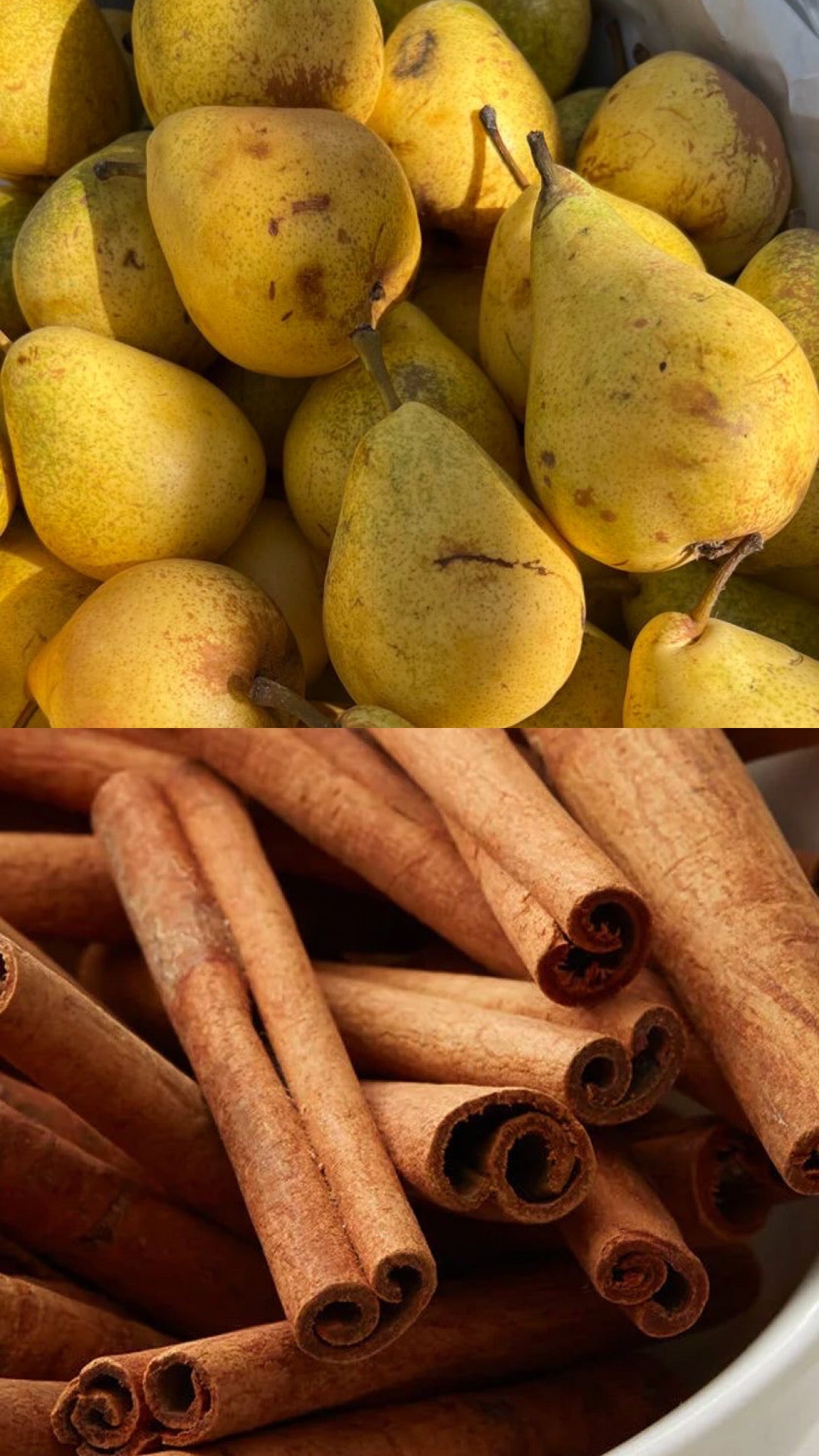 Pear & Oak