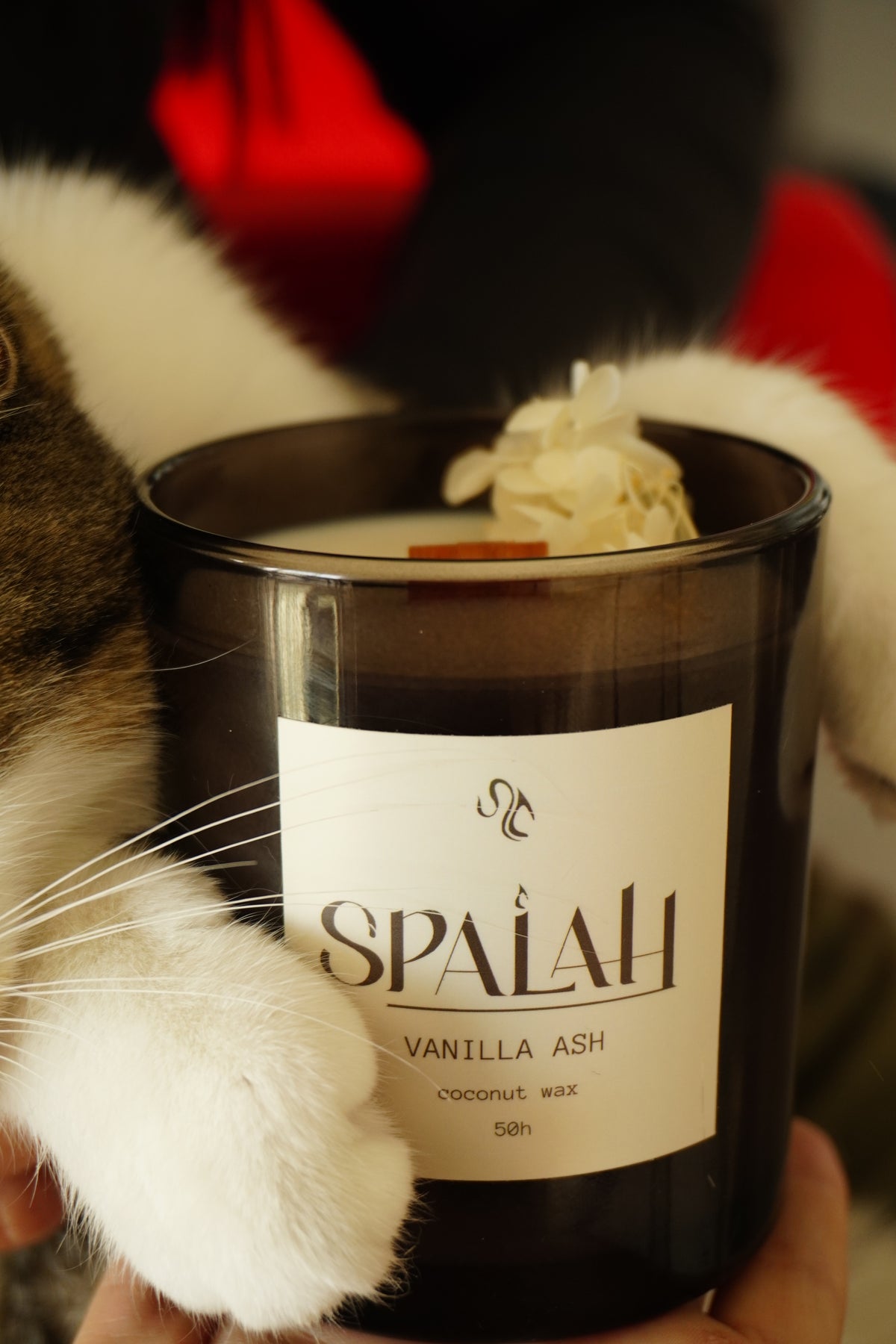 Vanilla Ash